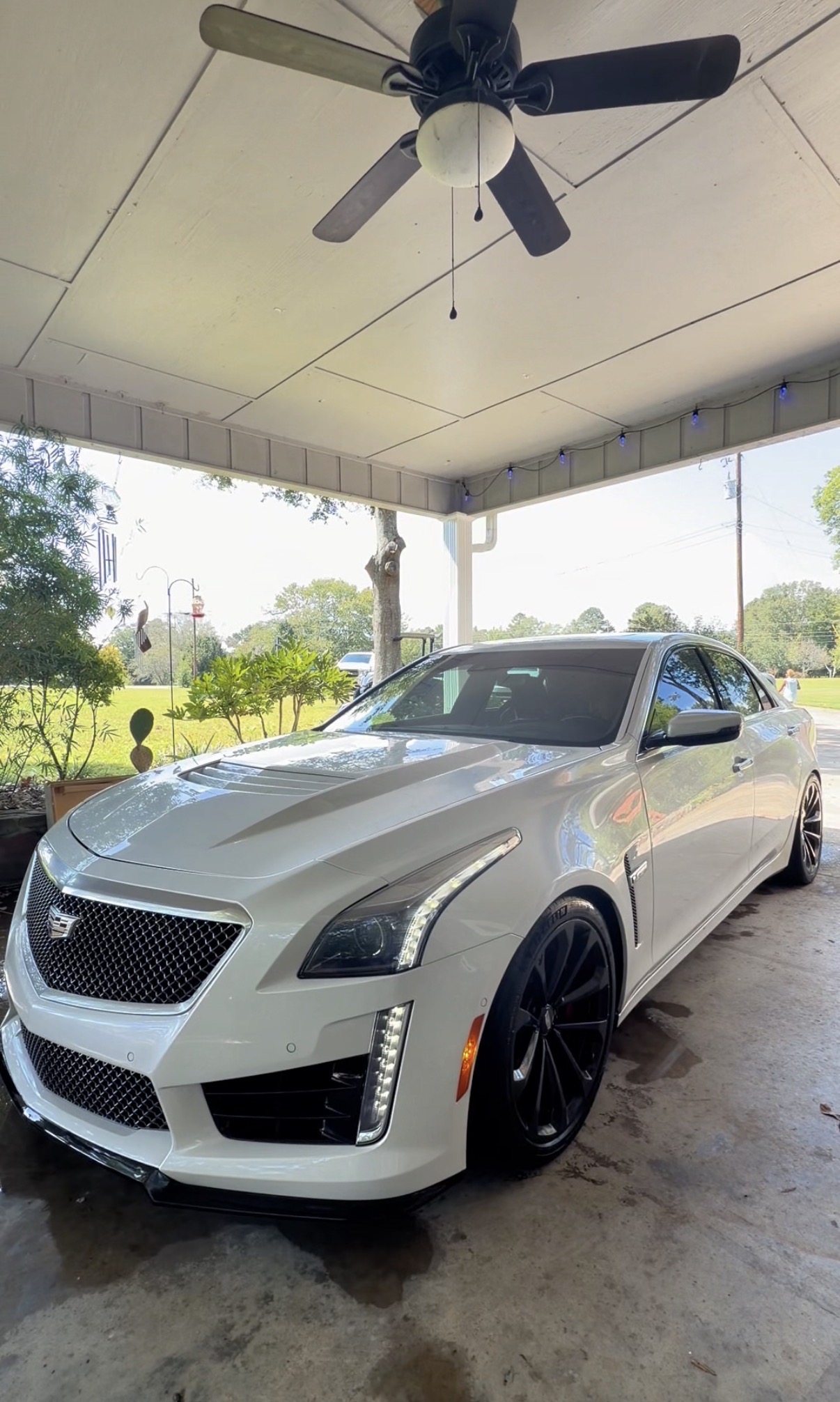 White Cadillac sedan detailed by Luna & Sol Auto Detailing